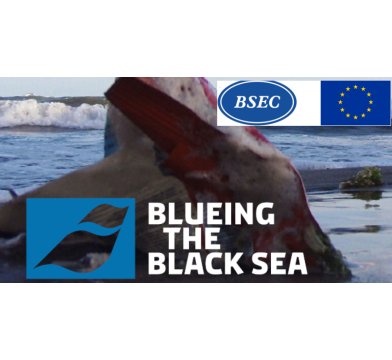 Dünya Bankası - Karadenizin Mavileştirilmesi Projesi Uluslararası Rapor 2023